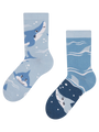 None-d4/d4d3f31ab172105ab9ae0105729c3ee8997afd1a