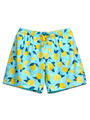 None-f8/f89a30da68af9c95ddbbfbbab7b58a7e659336be